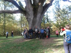 LE LOUROUX - randonnée du 21/10/2017