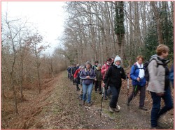 Les Essards - randonnée du 03/03/2019