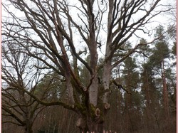 Les Essards - randonnée du 03/03/2019