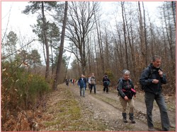 Les Essards - randonnée du 03/03/2019