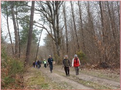 Les Essards - randonnée du 03/03/2019
