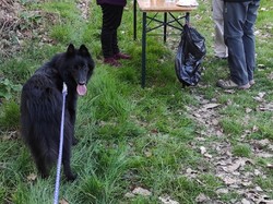 LOUESTAULT 27/03/2021