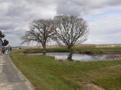 LOUESTAULT 27/03/2021