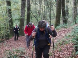 Marche nordique 2/11/2017