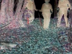 Marche nordique 2/11/2017