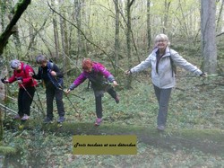 Marche nordique 9/11/2017