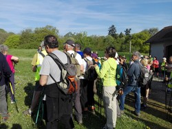 Marche Nordique - avril 2018