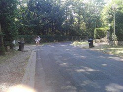 Marche Nordique - juillet 2018