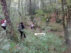 Marche Nordique - septembre 2018