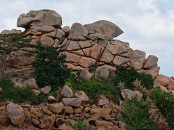 MN - Bretagne - Port Blanc 6 au 11/06/2024