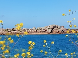 MN - Bretagne - Port Blanc 6 au 11/06/2024