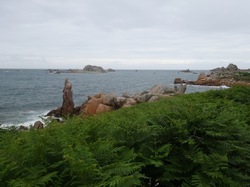 MN - Bretagne - Port Blanc 6 au 11/06/2024