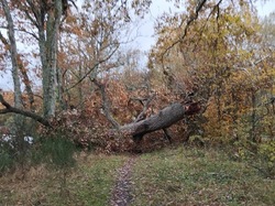 MN - Saison 2023/2024