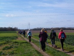 MONTLOUIS-SUR-LOIRE 22/02/2020