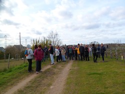 MONTLOUIS-SUR-LOIRE 22/02/2020