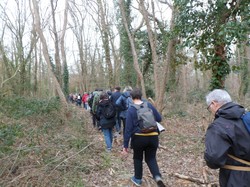 MONTLOUIS-SUR-LOIRE 22/02/2020