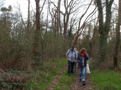 MONTLOUIS-SUR-LOIRE 22/02/2020