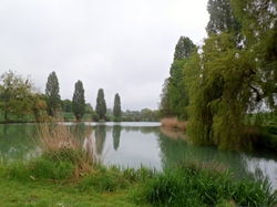 Rando barbecue à Neuvy le Roi