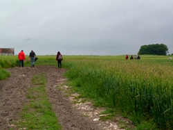 Rando barbecue à Neuvy le Roi