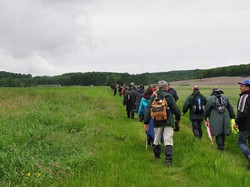 Rando barbecue à Neuvy le Roi