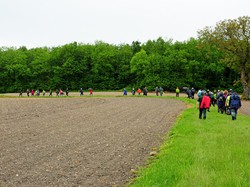 Rando barbecue à Neuvy le Roi
