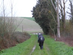 PARÇAY-SUR-VIENNE 01/03/2020