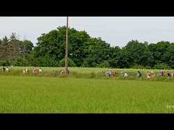 Pernay - Rando barbecue 22/05/2025