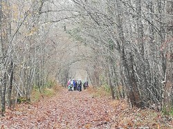 PERNAY - Téléthon 07/12/2019