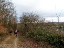Rando à Saint-Patrice