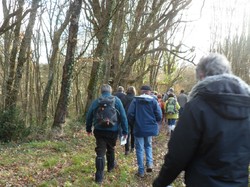 Rando à Semblançay suivie du repas Tête de veau