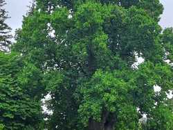 Rando-raid 5 et  6/07/2025