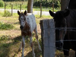 Rando raid 07 et 08/07/2018