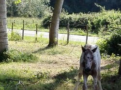 Rando raid 07 et 08/07/2018