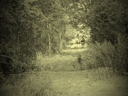 Rando raid des 08 et 09/07/2017