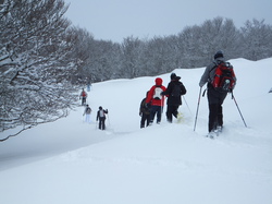 Randonnée Raquettes avec Les Vadrouilleurs du Val du Cher à Super Besse 09 février 2013