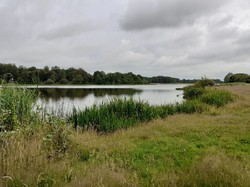 Rando surprise 04/07/2021