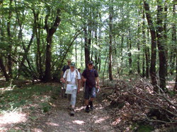 Rando Surprise à 37330 Brèches