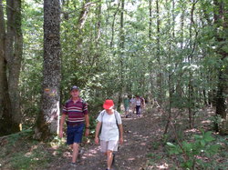 Rando Surprise à 37330 Brèches