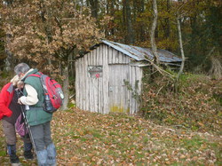 Randonnée à 72500 Lavernat dimanche 01 décembre 2013