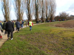 Randonnée à Ambillou