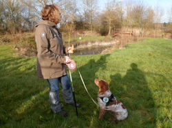 Randonnée à Ambillou