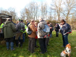 Randonnée à Ambillou