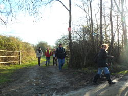 Randonnée à Ambillou