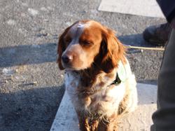 Randonnée à Ambillou