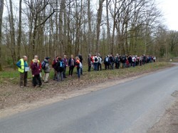 Randonnée à BALLAN MIRE
