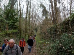 Randonnée à BALLAN MIRE