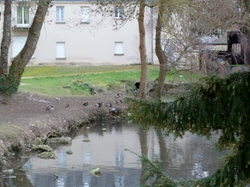 Randonnée à BALLAN MIRE