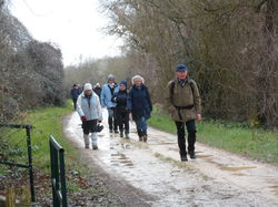 Randonnée à Chouzé-sur-Loire