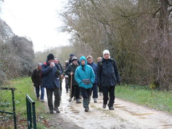 Randonnée à Chouzé-sur-Loire