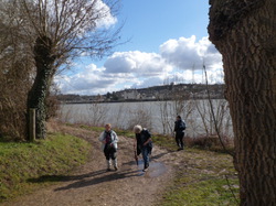 Randonnée à Chouzé-sur-Loire